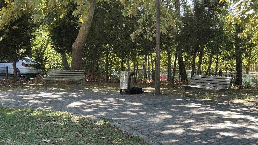Cami önünde ölü bulundu! 6